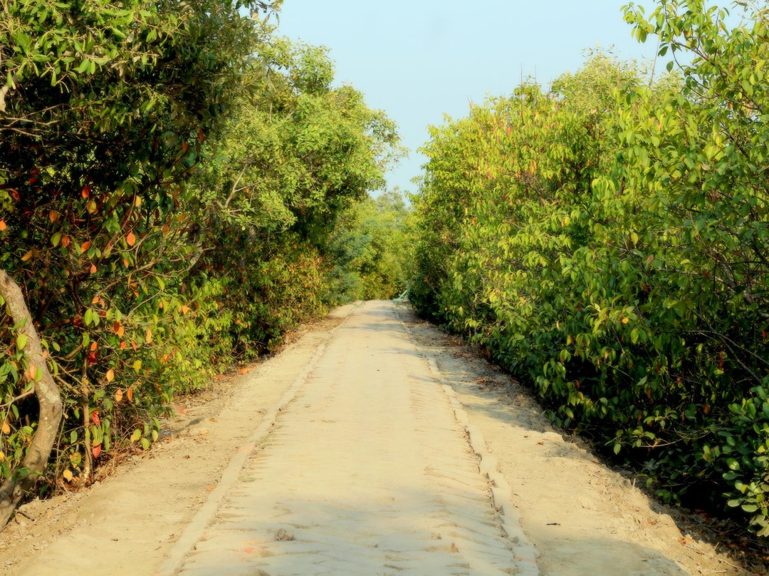 Sagar Island旅游攻略图片