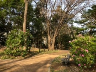 Iseyama Nature Park景点图片