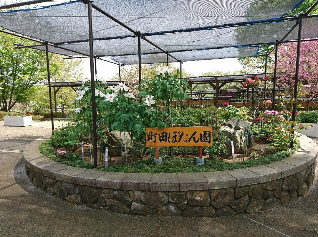 Machida City Minken no Mori Park景点图片