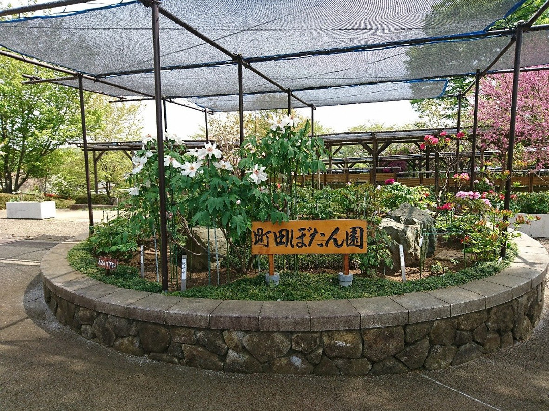 Machida City Minken no Mori Park