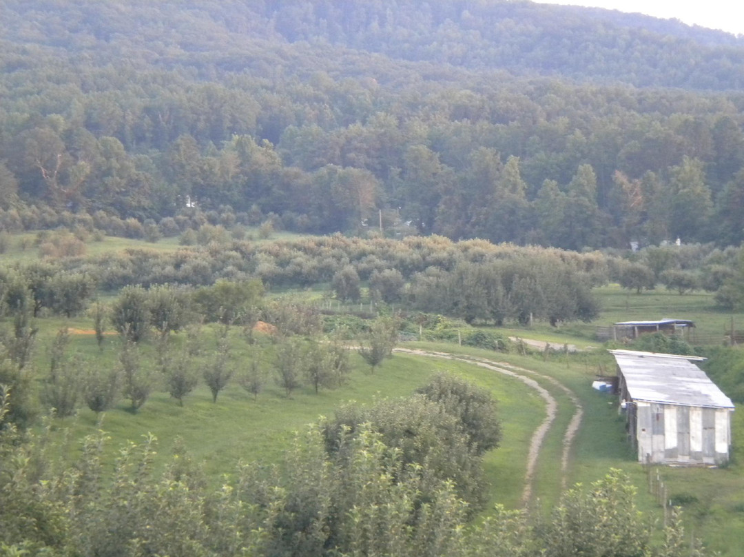 Carver Orchards & Farm Market景点图片