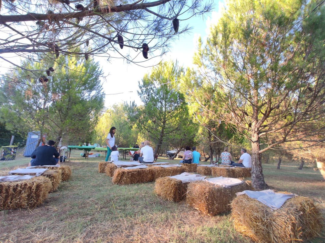 Brivì Tartufi