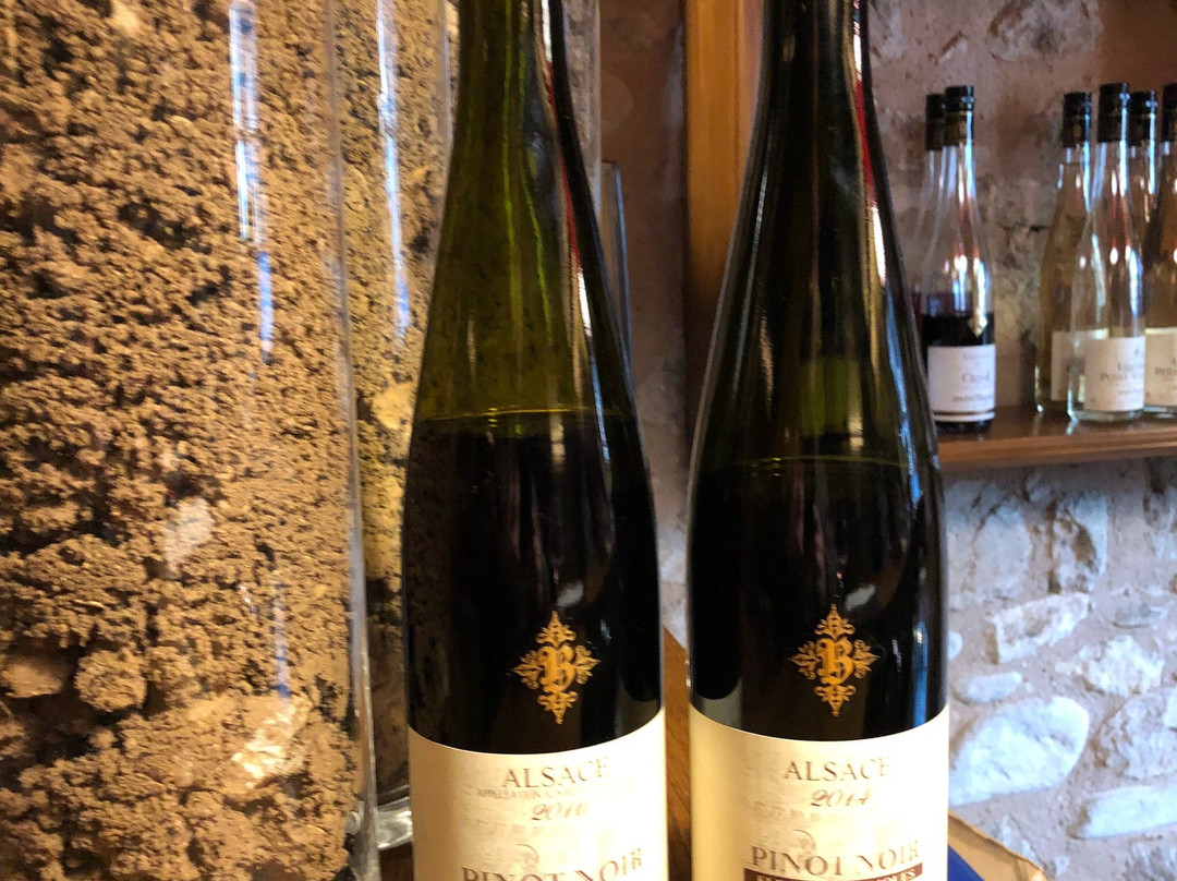 Domaine André Blanck & ses Fils景点图片