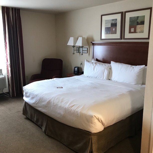 Candlewood Suites 斯普林菲尔德 by IHG-官方