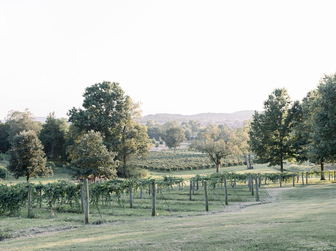 Long Hollow Gardens & Vineyards