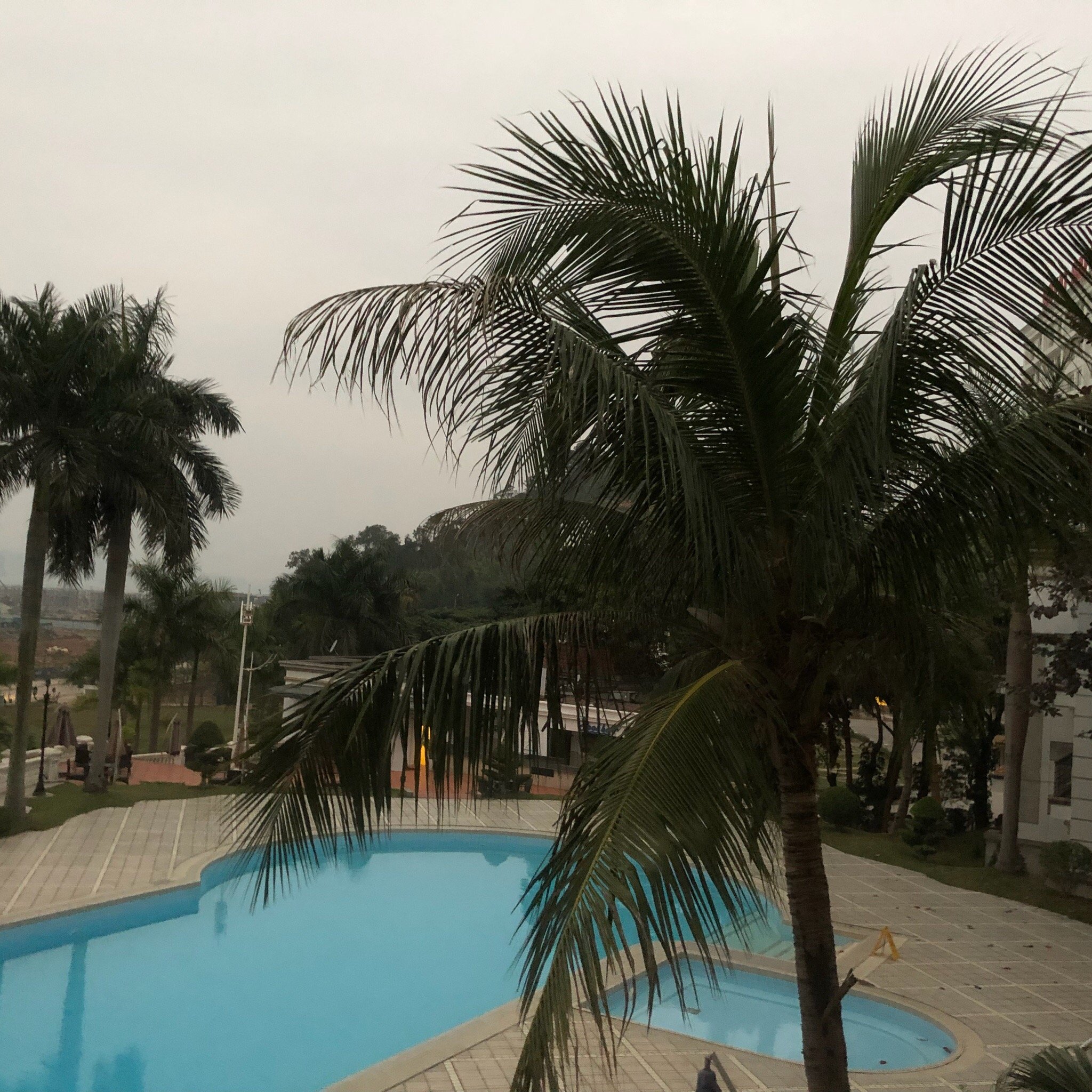 Royal Halong Hotel-餐饮