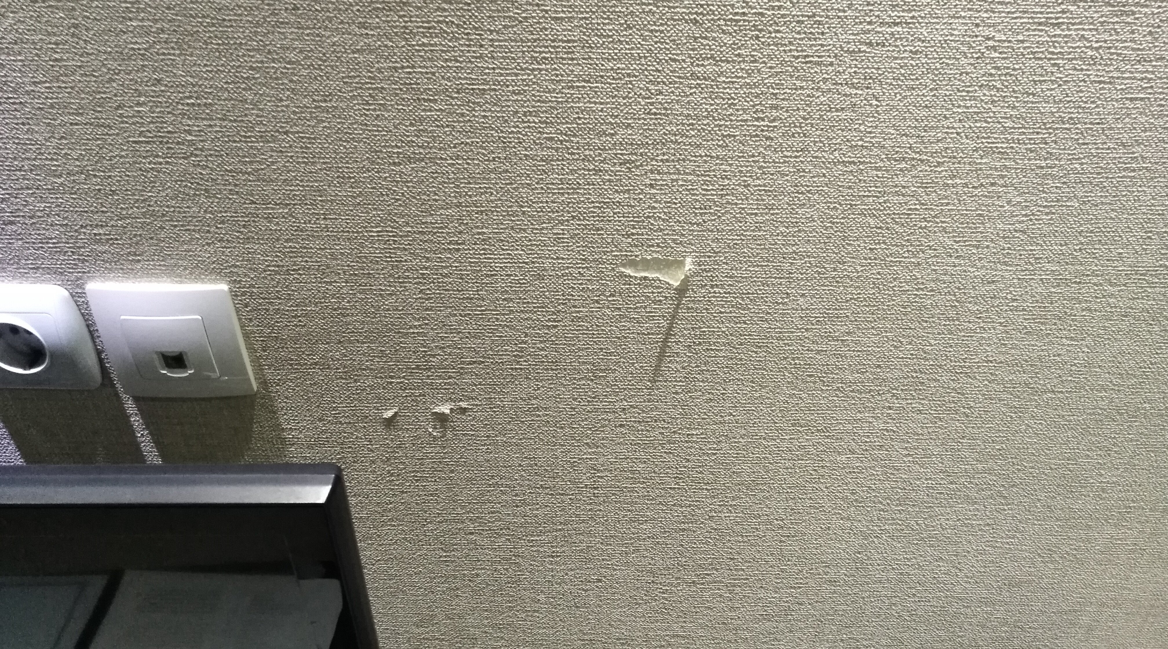 Golden Tulip-官方