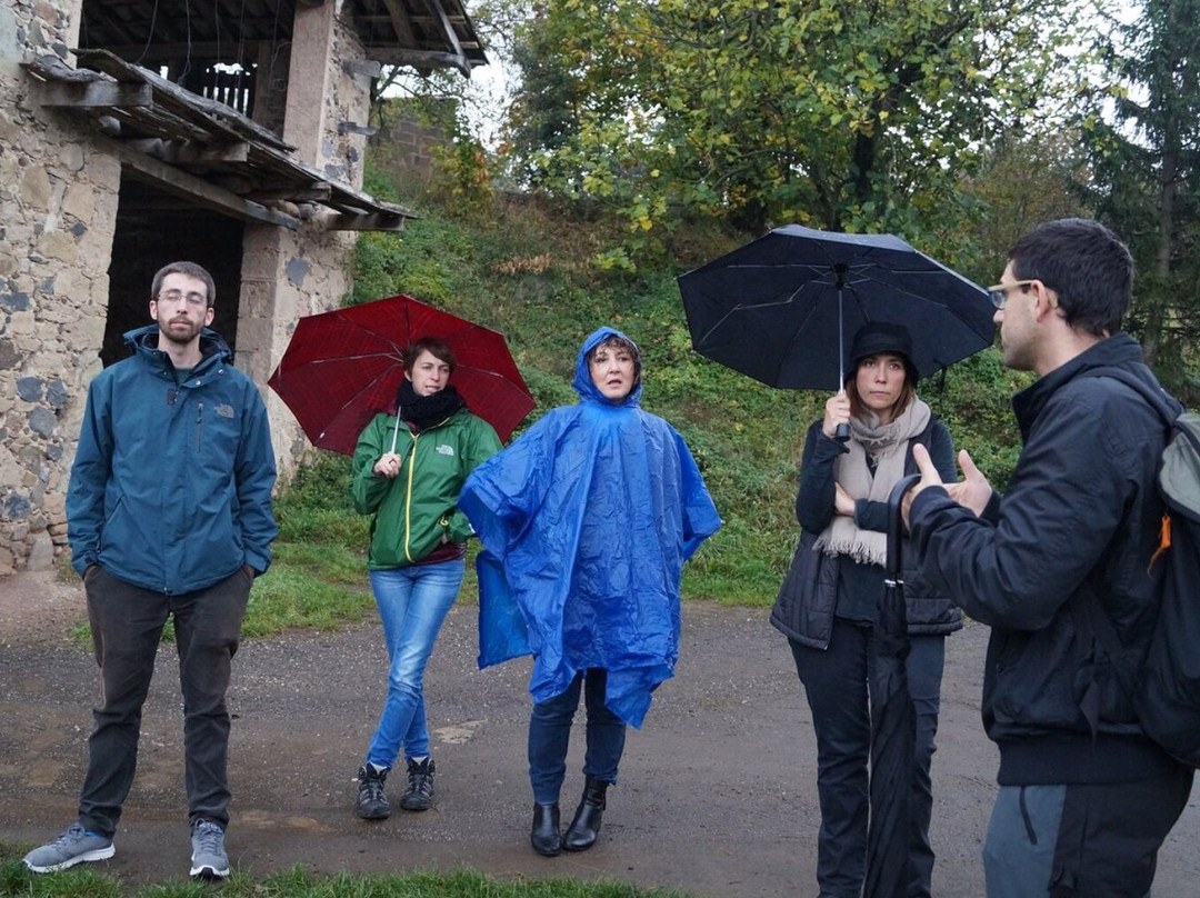 La Garrotxa Volcanic Zone Natural Park景点图片