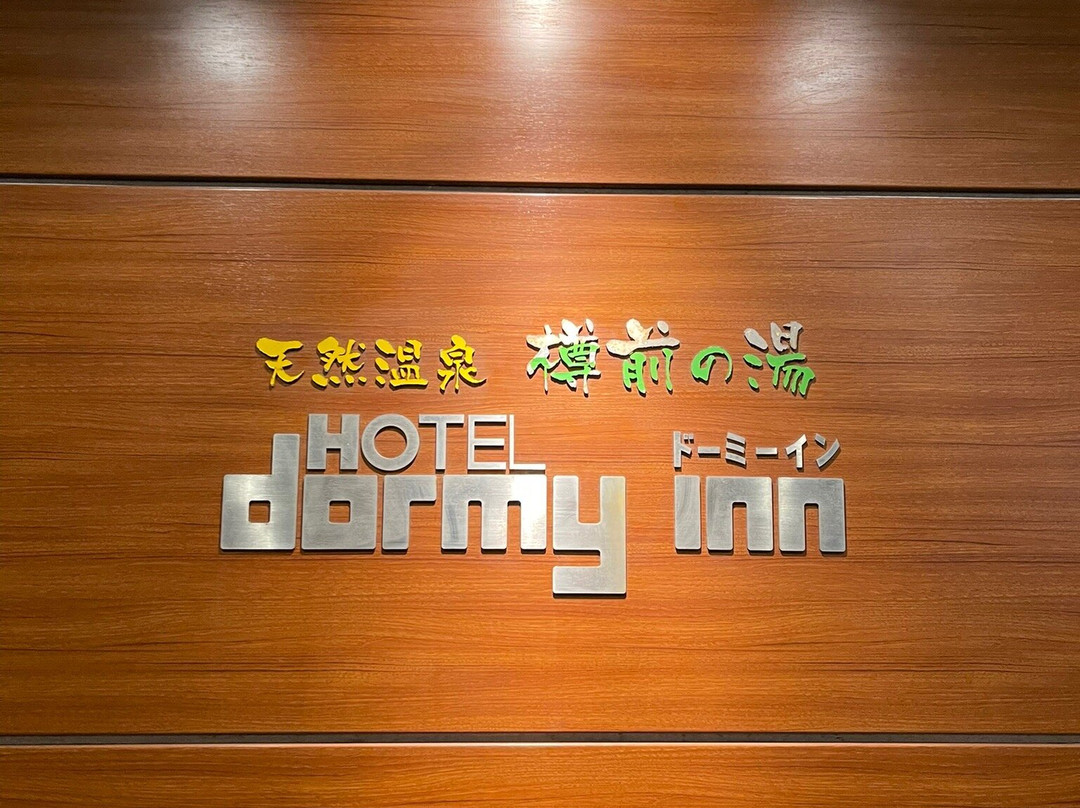 北海道苫小牧多美迎天然温泉酒店(多美迎・御宿野乃 酒店集团)主图