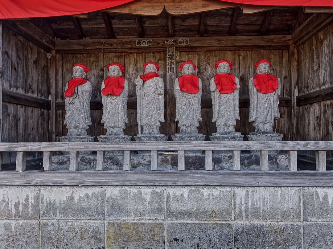 Saikoji Temple景点图片