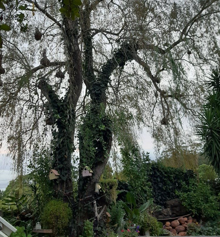 Buffeljagsrivier酒店住宿-Aquaelberg Place