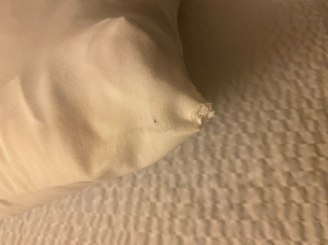 Fairfield by Marriott Inn & Suites Villahermosa Tabasco主图