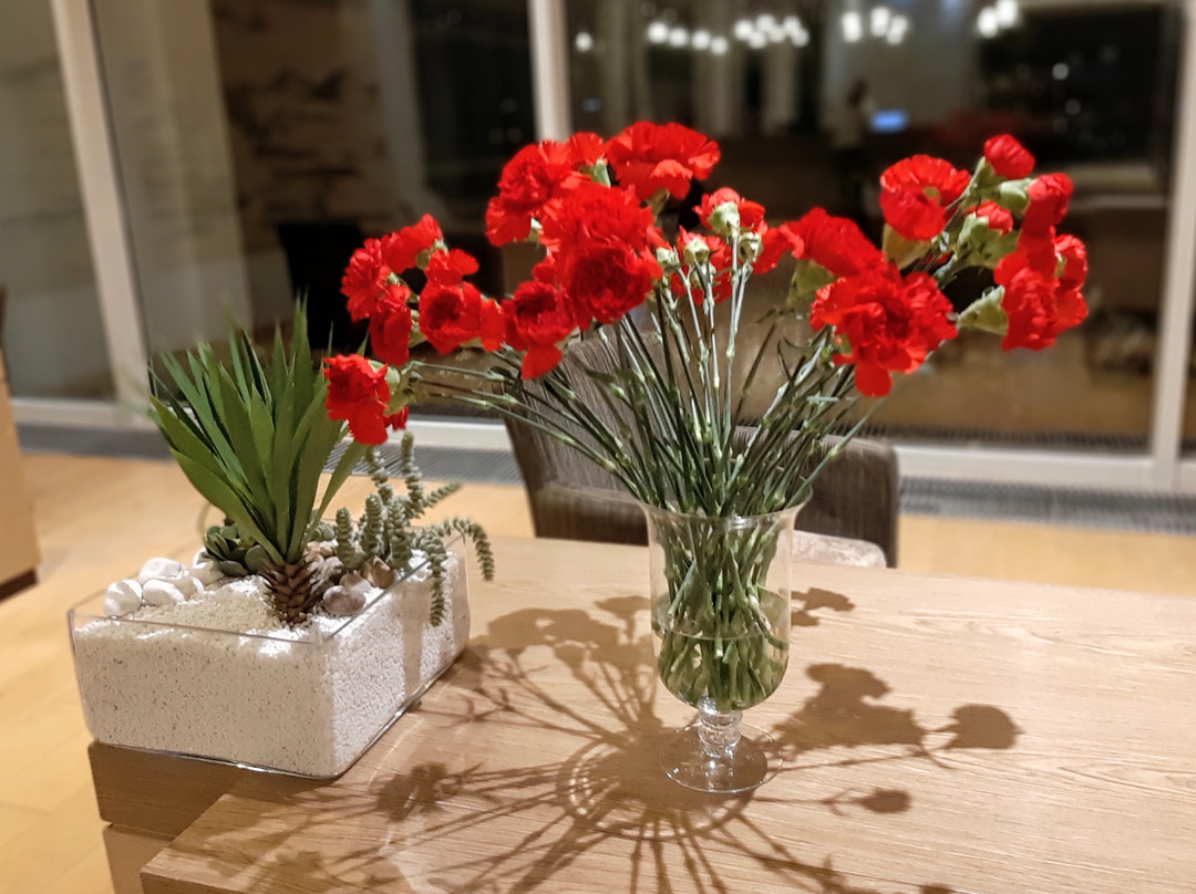 Amadria Park Hotel Ivan主图