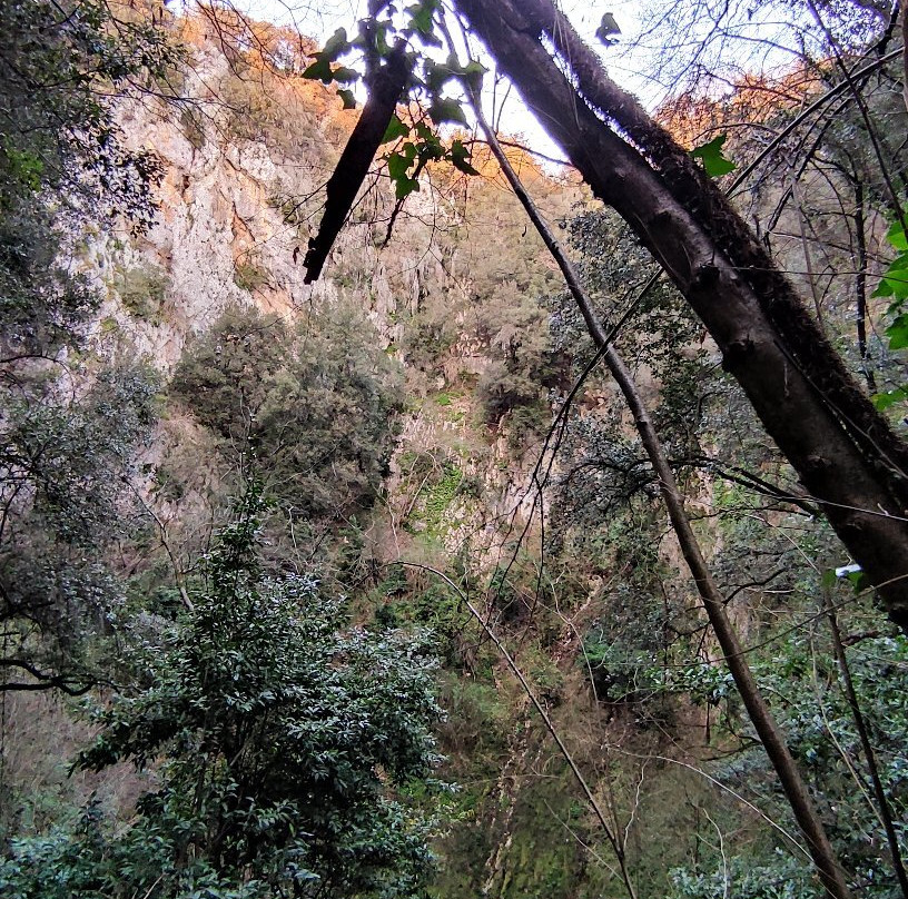 Pozzo del Merro景点图片