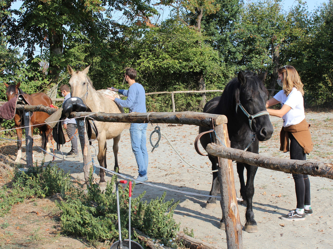 Domaine des Pierres Jumelles景点图片