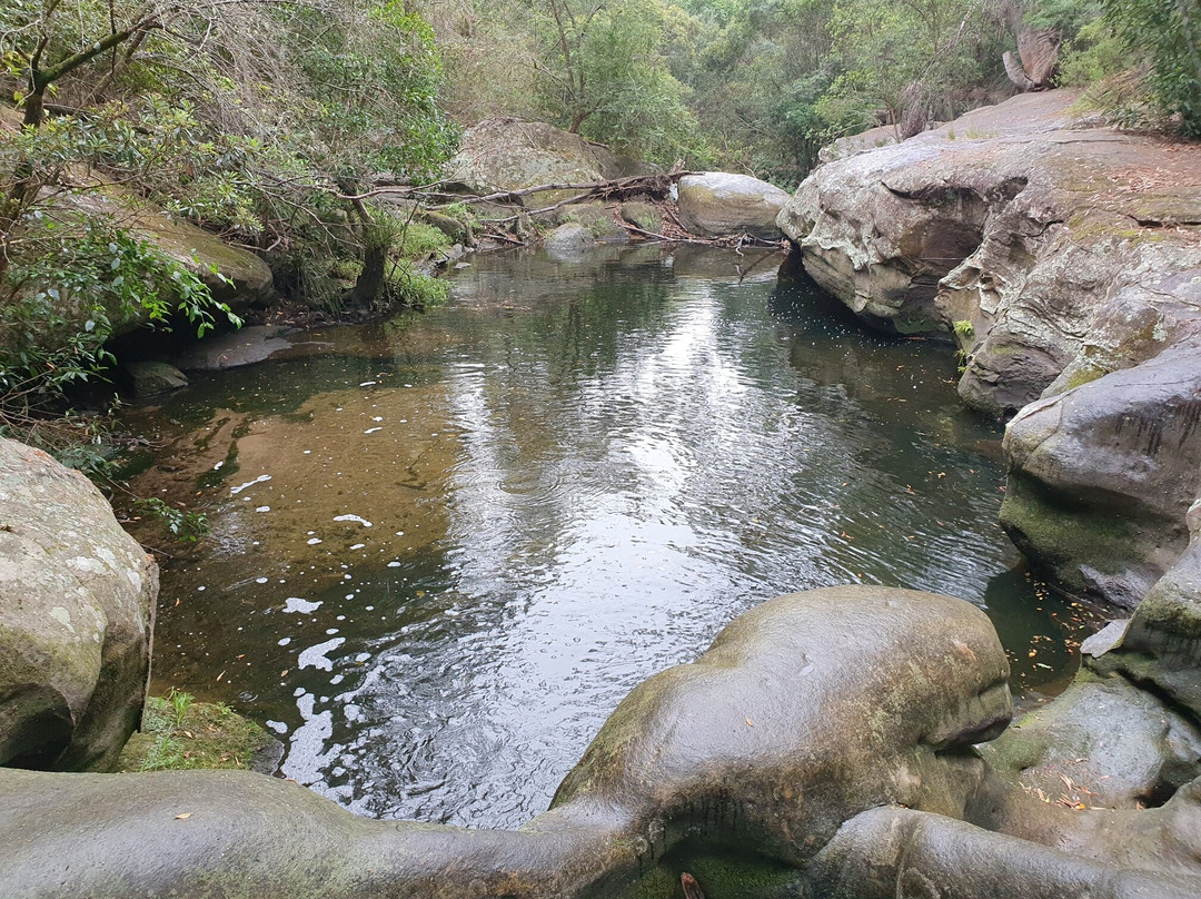 Berowra Valley National Park景点图片