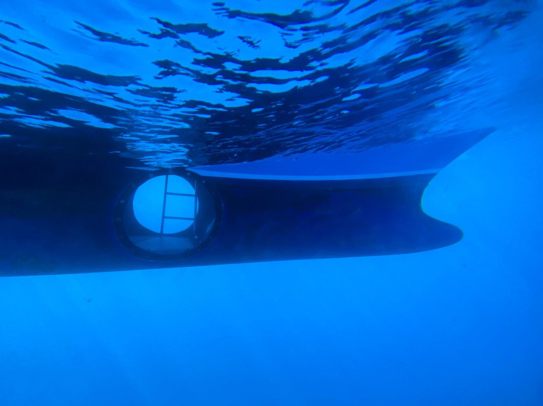 Fancy II Whale Watching景点图片