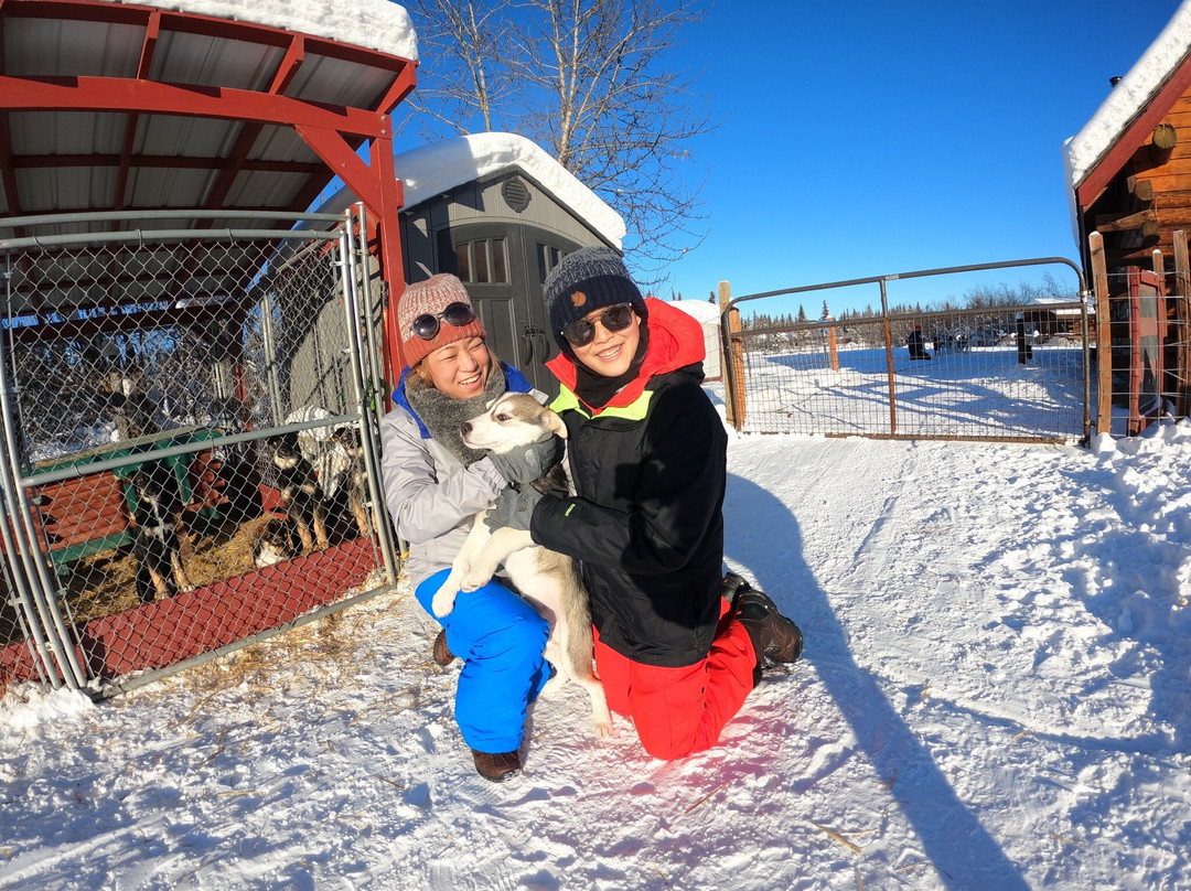 Trail Breaker Kennel-费尔班克斯必去景点