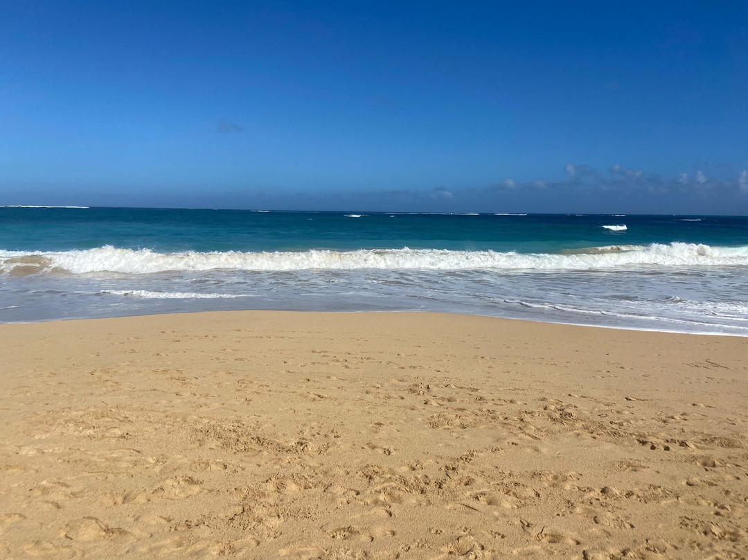 Baldwin Beach景点图片