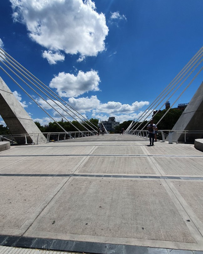 Puente del Centenario景点图片