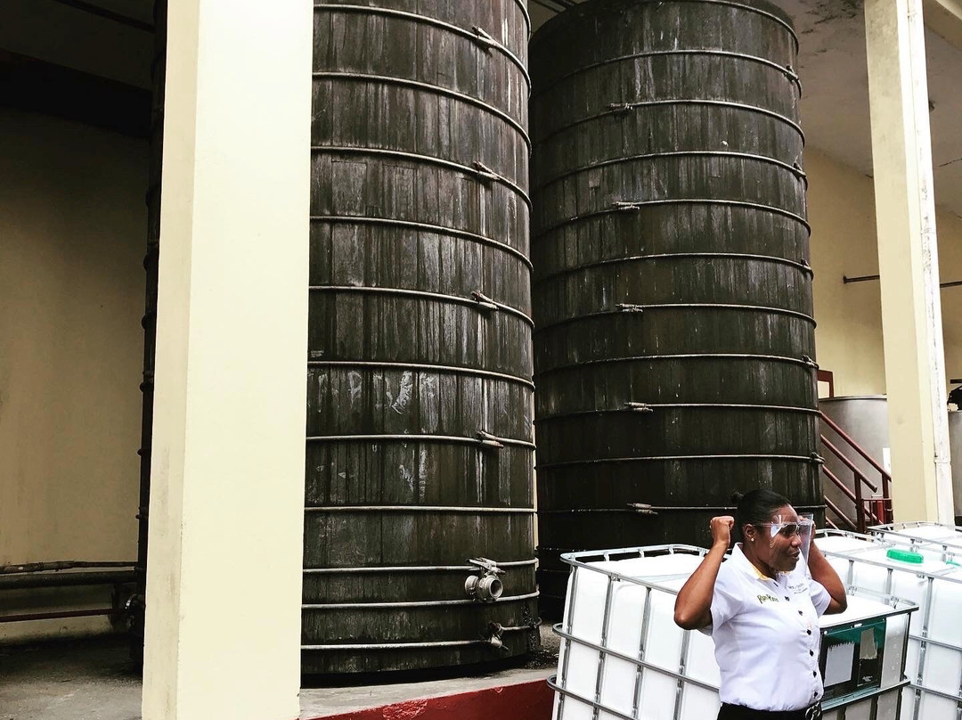 Worthy Park Estate Rum Tour-Linstead必去景点