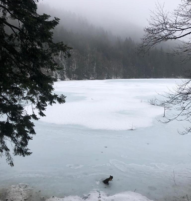 Lac de Lispach-La Bresse必去景点