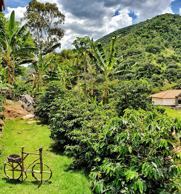 Casa Baldoni - Fazenda de Café-Santa Rita Do Sapucai必去景点