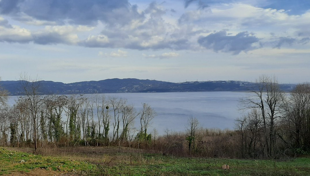 Sapanca View Hotel主图