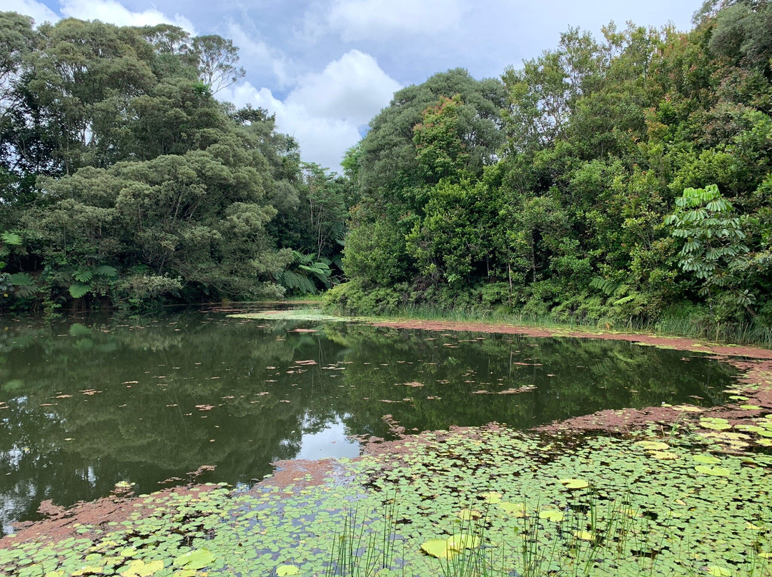 The Australian Platypus Park at Tarzali Lakes-马兰达必去景点