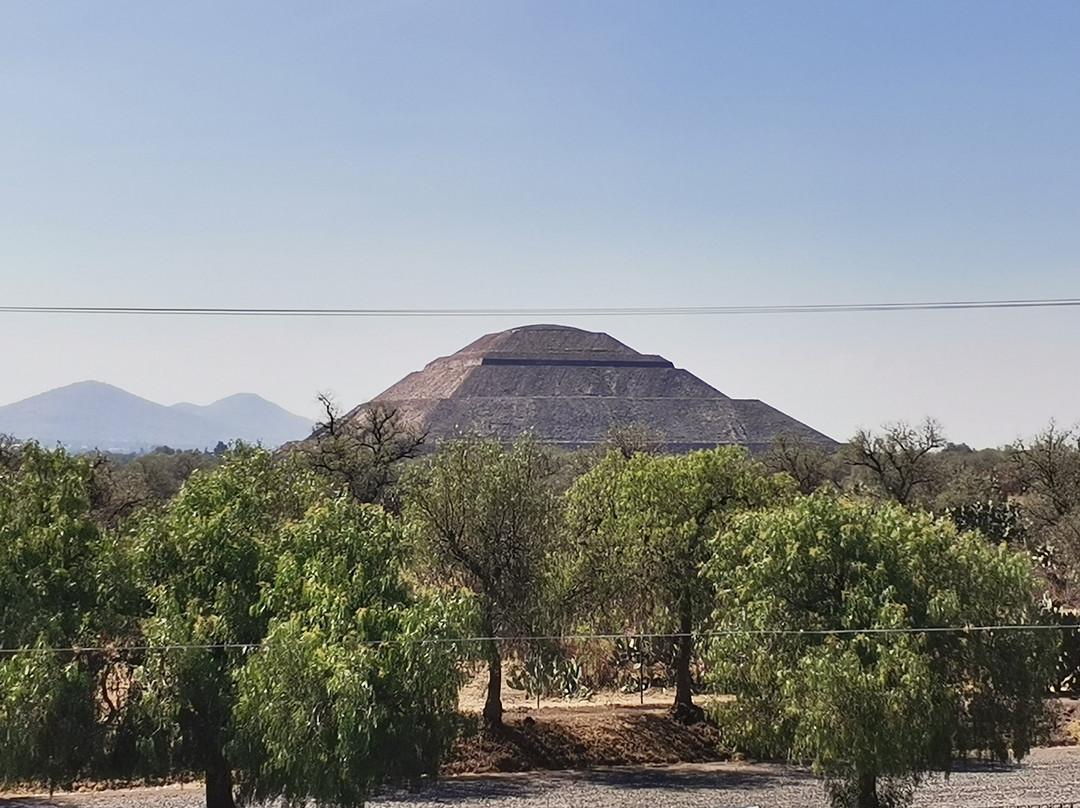 Excellence Mexico Tours-墨西哥城必去景点