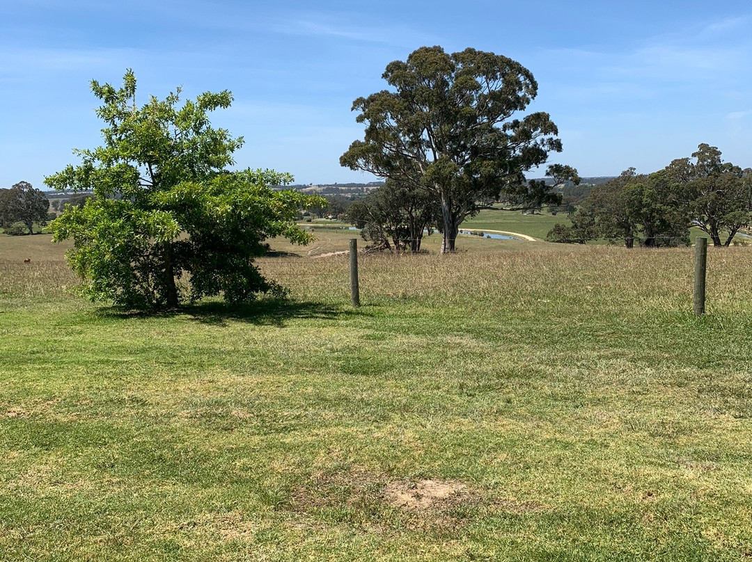 Blue Gables Winery-Maffra必去景点