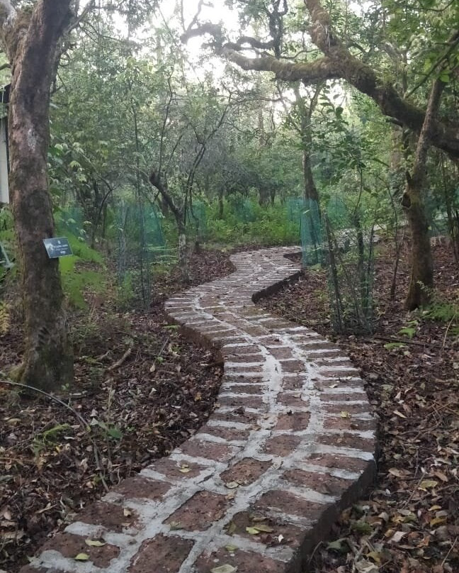 Rathore Adventures-潘恰格尼必去景点