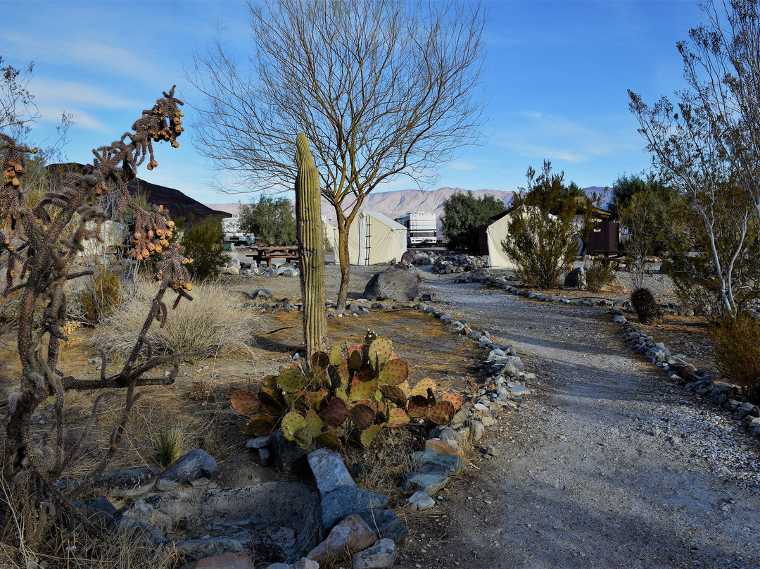 Panamint Springs Resort主图