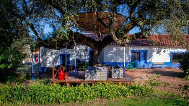 Monte do Serrado de Baixo主图