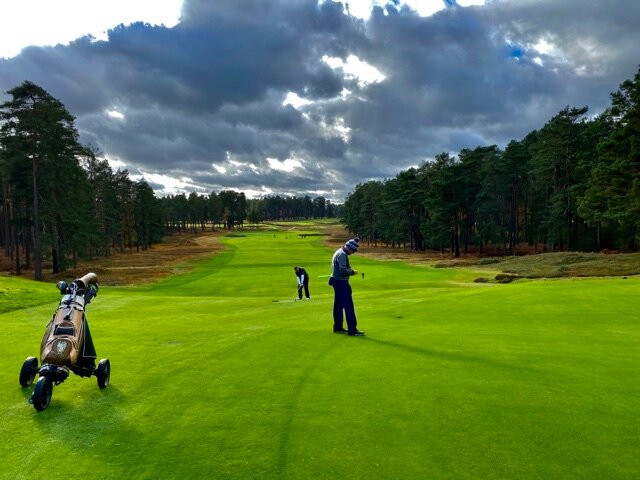 Swinley Forest Golf Club景点图片