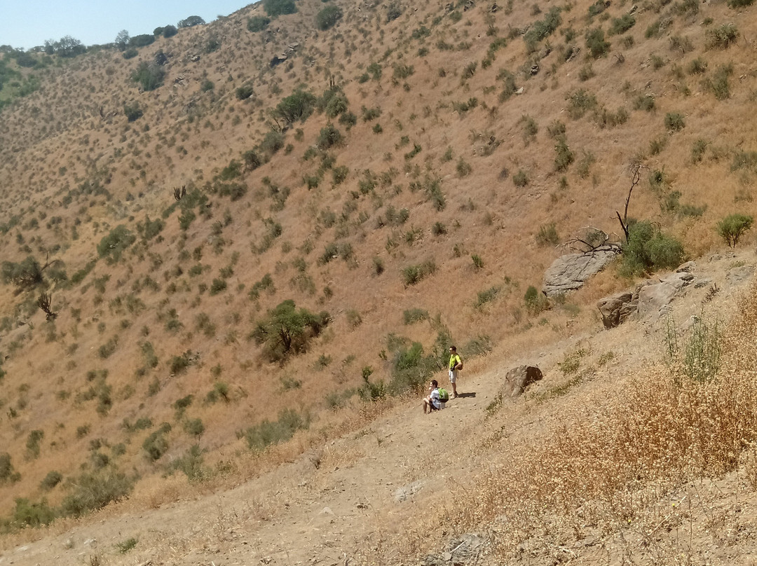 Panul Parque Publico Comunitario-La Florida必去景点