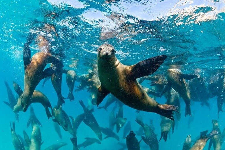 Shore Excursions