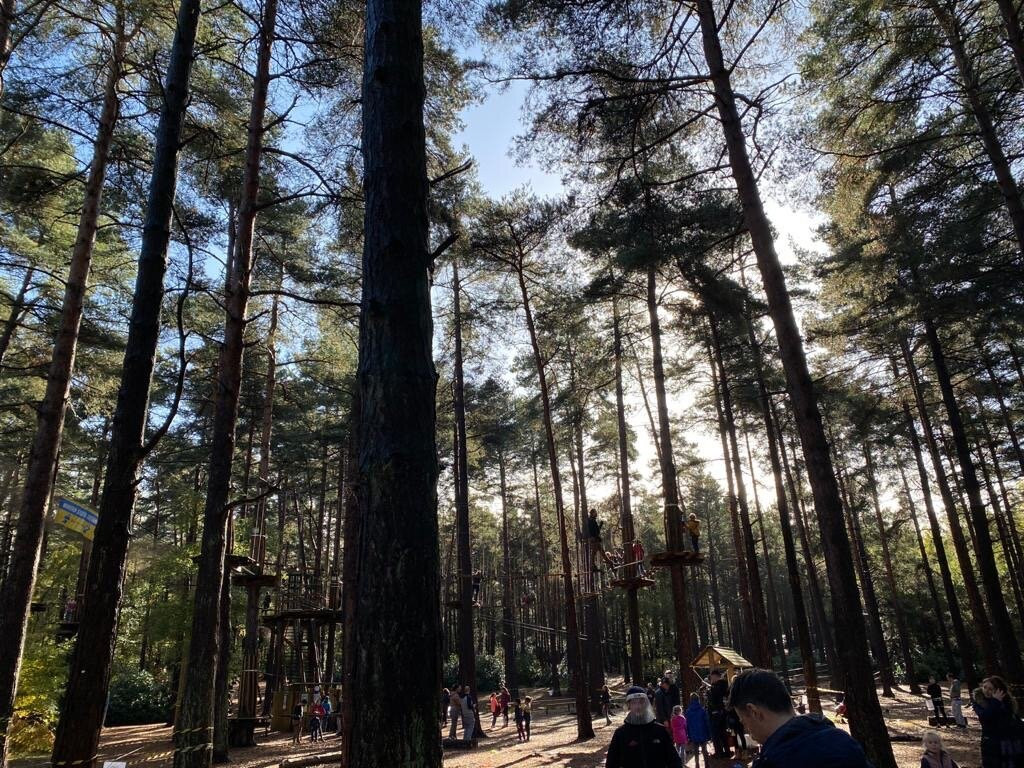 Go Ape Bracknell-布拉克内尔必去景点