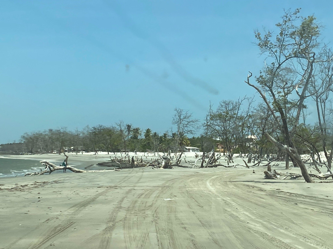 Ilha do Amor Beach-Camocim必去景点