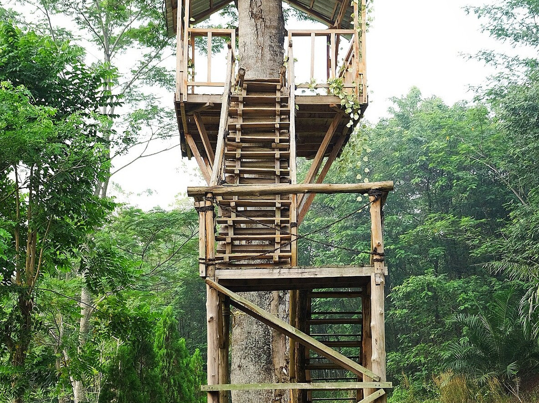 Harper Purwakarta主图