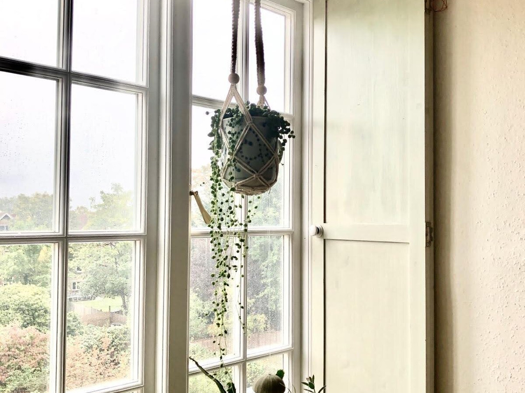 Macrame Market景点图片