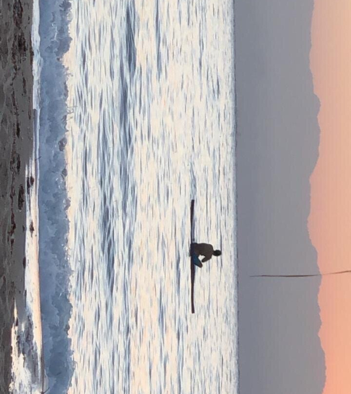 Safari Beach Resort主图