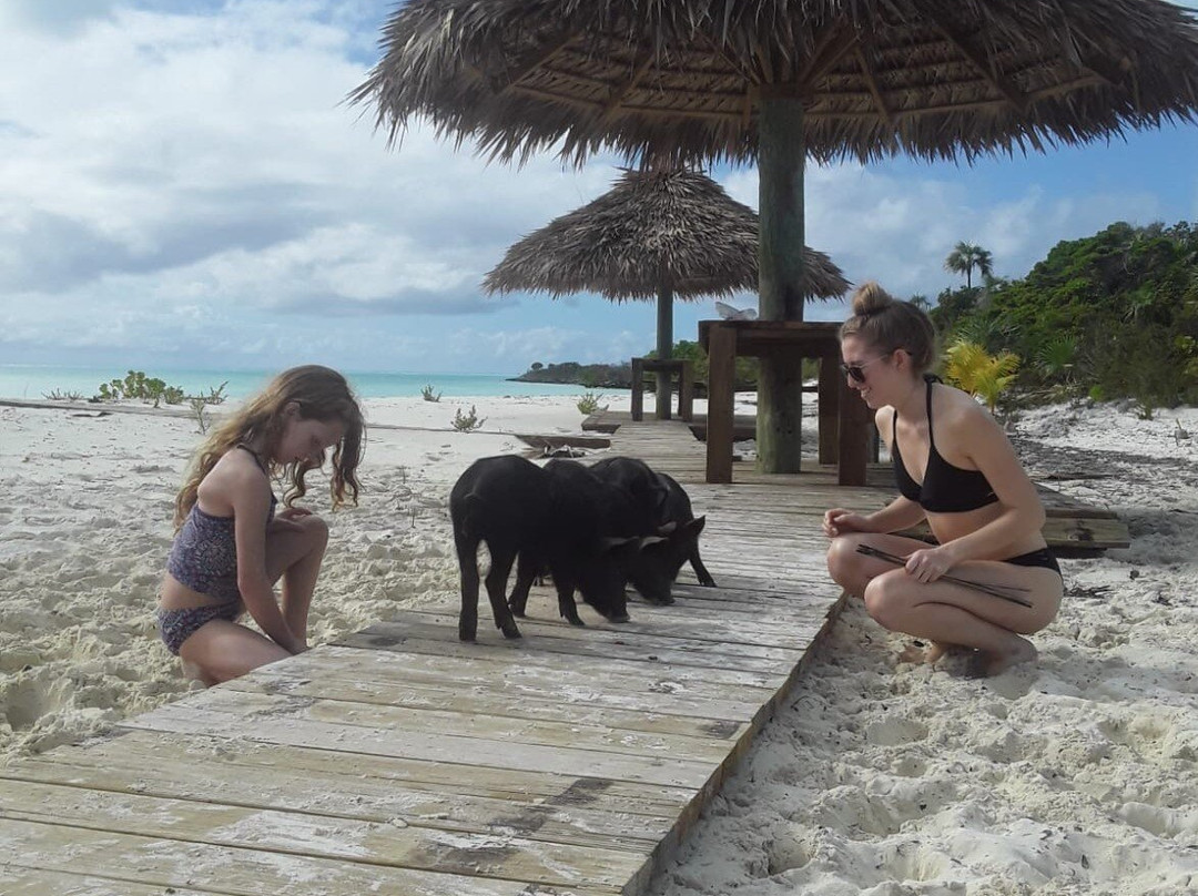 Gems at Paradise Beach Hotel主图