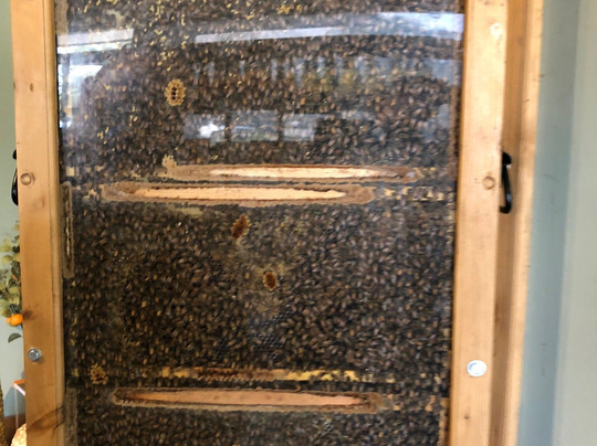 Savannah Bee Company-萨凡纳必去景点