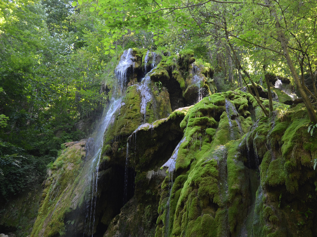 Beusnita Waterfall景点图片