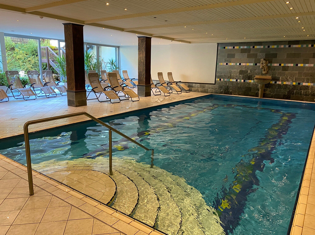 Hotel Alpenhof主图