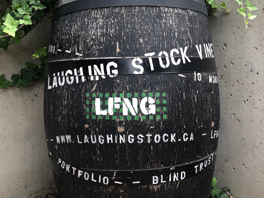 Laughing Stock Vineyards景点图片