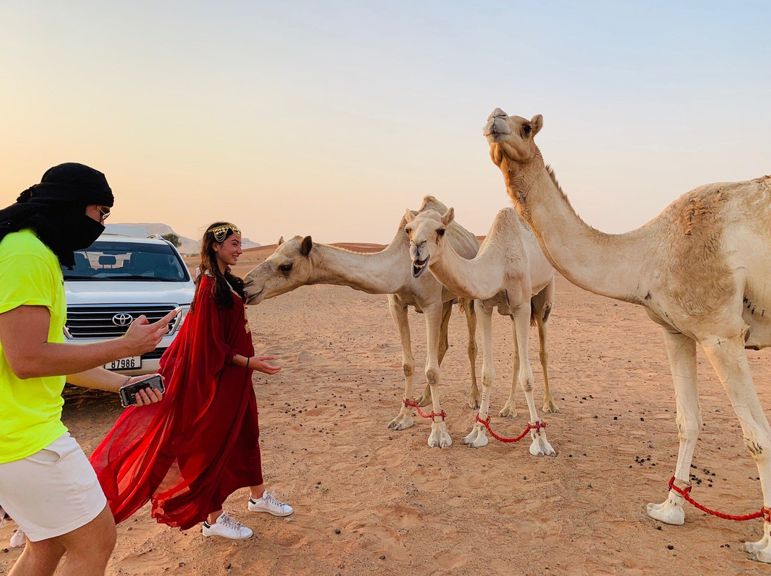 Trawey Tourism LLC-迪拜必去景点