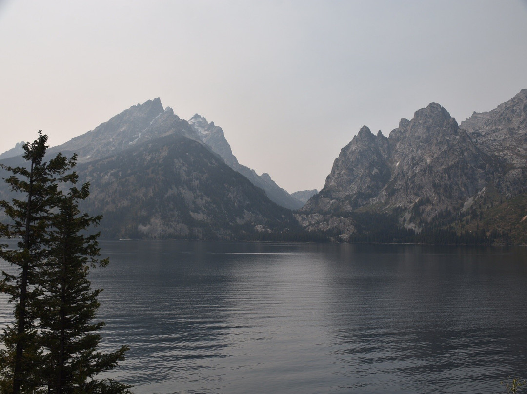 Jenny Lake Overlook景点图片