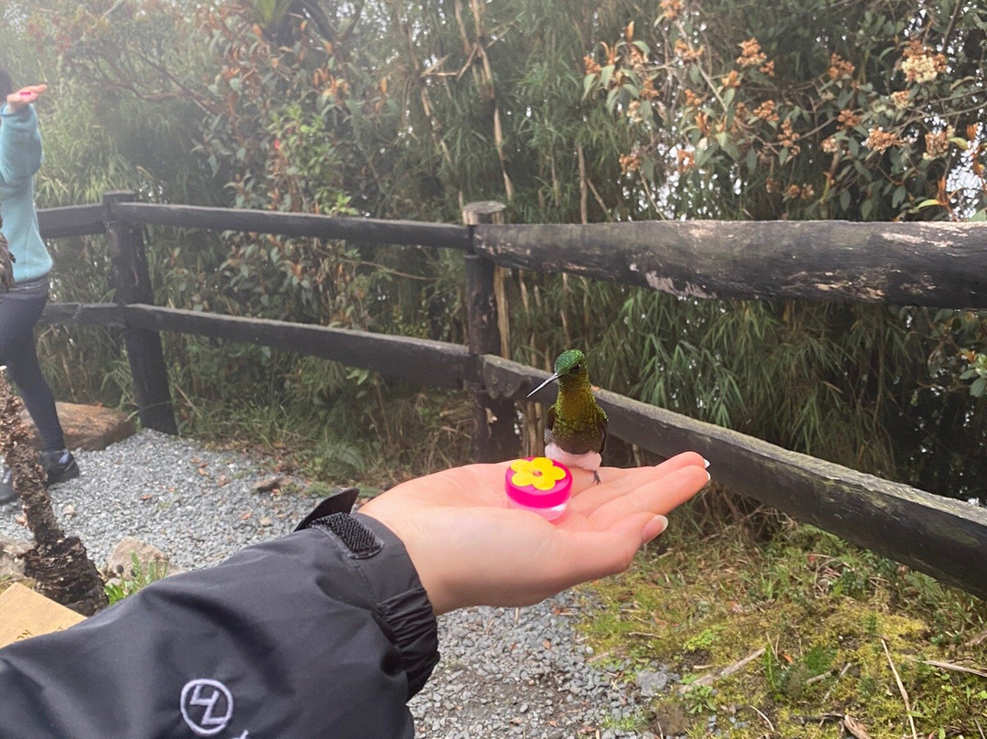 Ruiz Hot Springs-Manizales必去景点